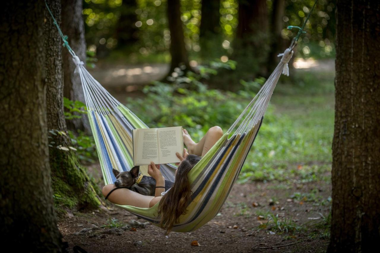 Forest Campingplatz