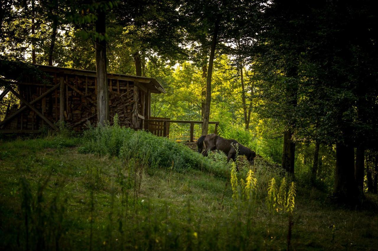 Forest Campingplatz Mozirje