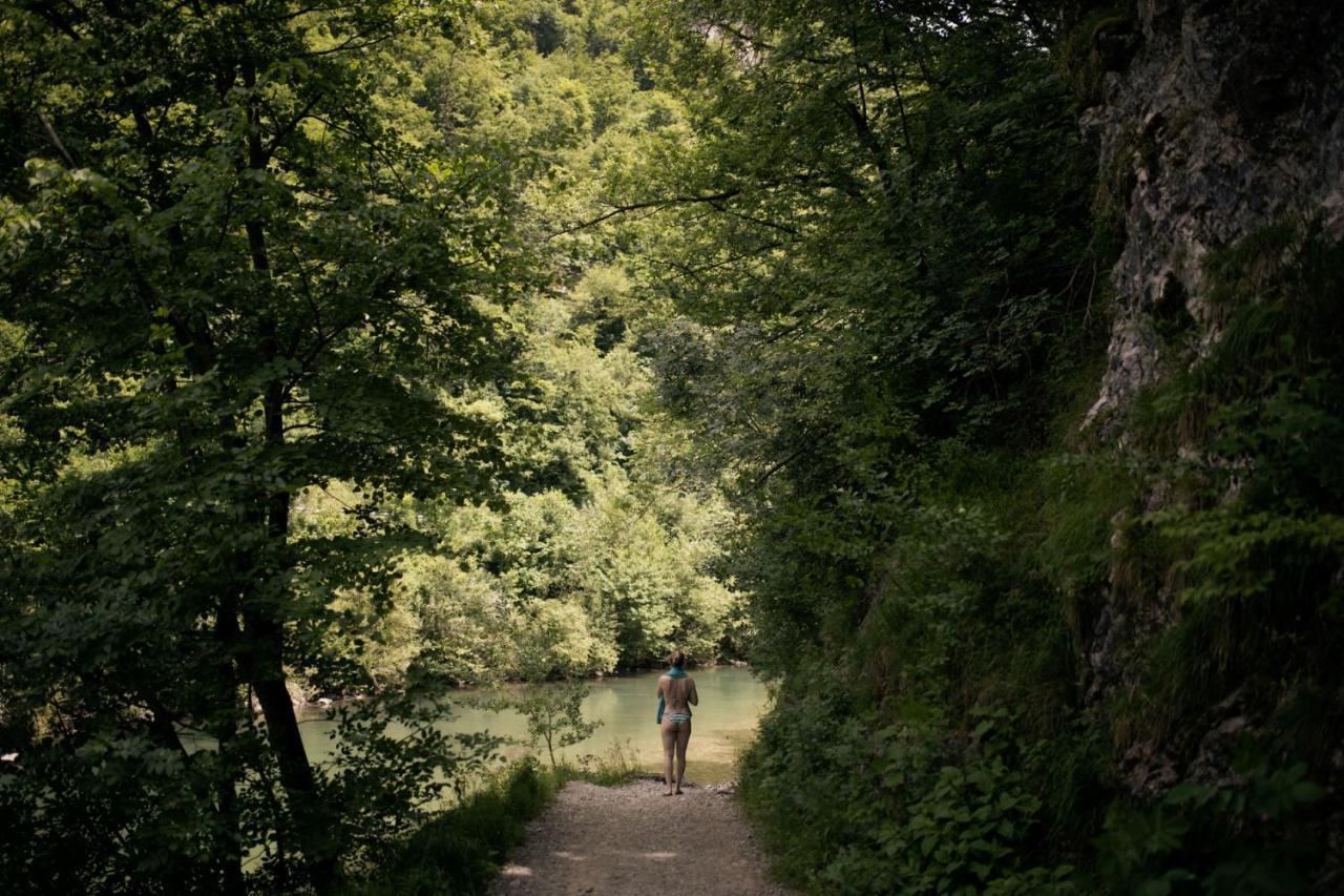 Forest Mozirje