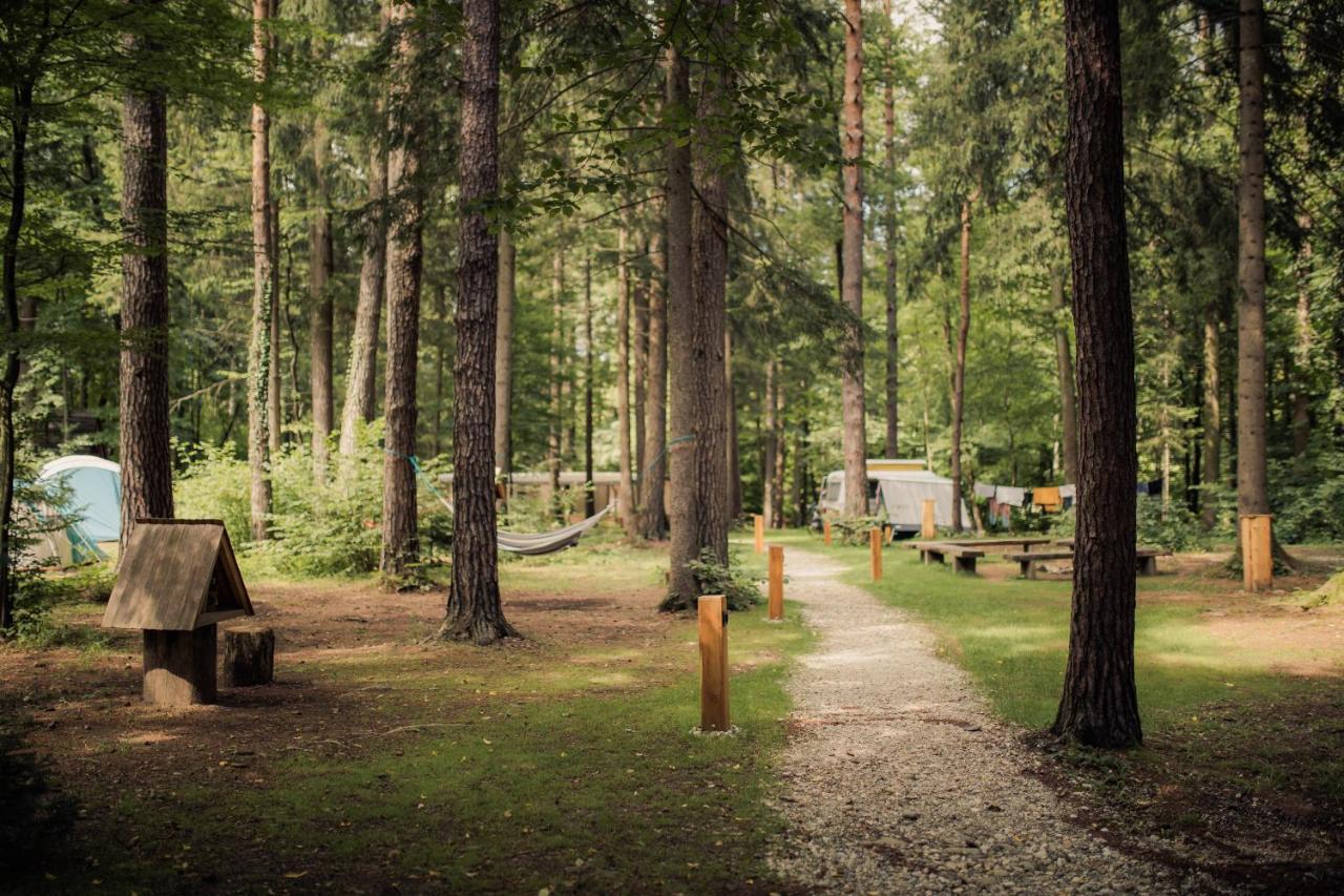 Forest Campingplatz 2*