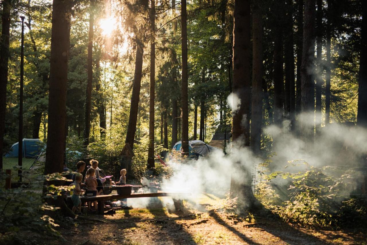 Campingplatz Forest