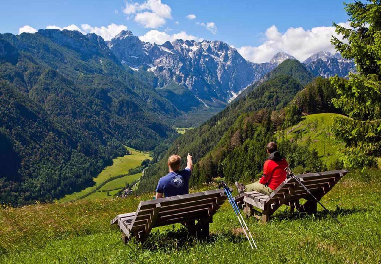 Campingplatz Forest
