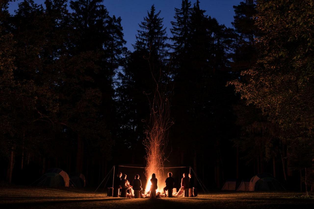 Campingplatz Forest