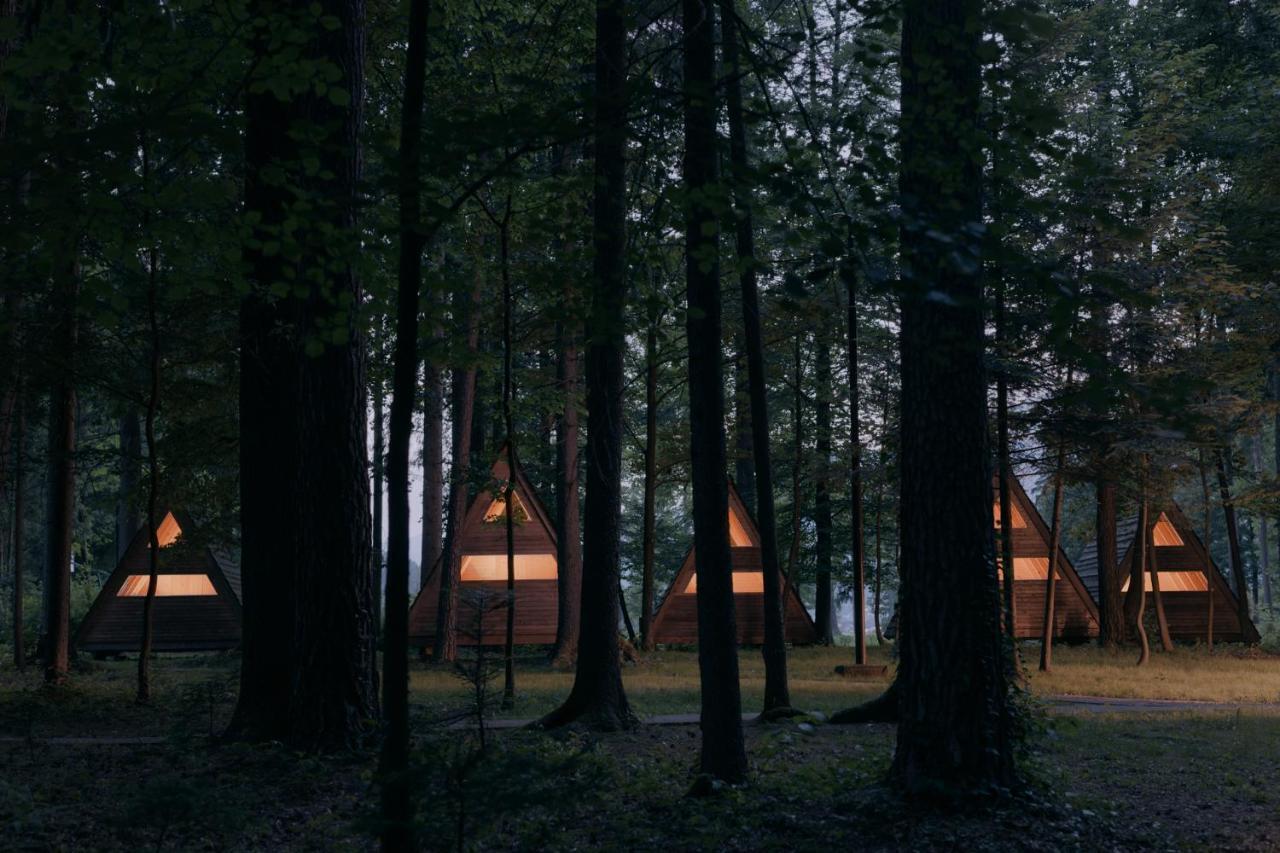 Forest Mozirje