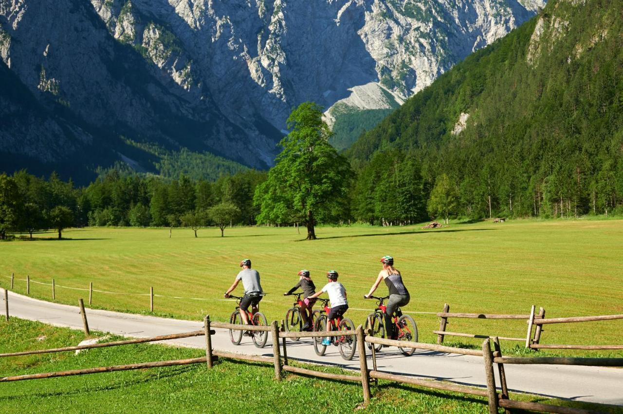 Campingplatz Forest